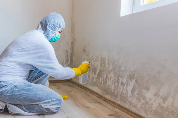 Crawl Space Mold Remediation treatment of floor joists in Nashville