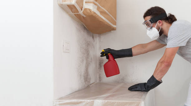 Basement Mold Remediation treatment on basement walls in Nashville