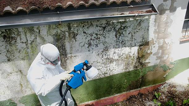 Mold Removal service in Nashville